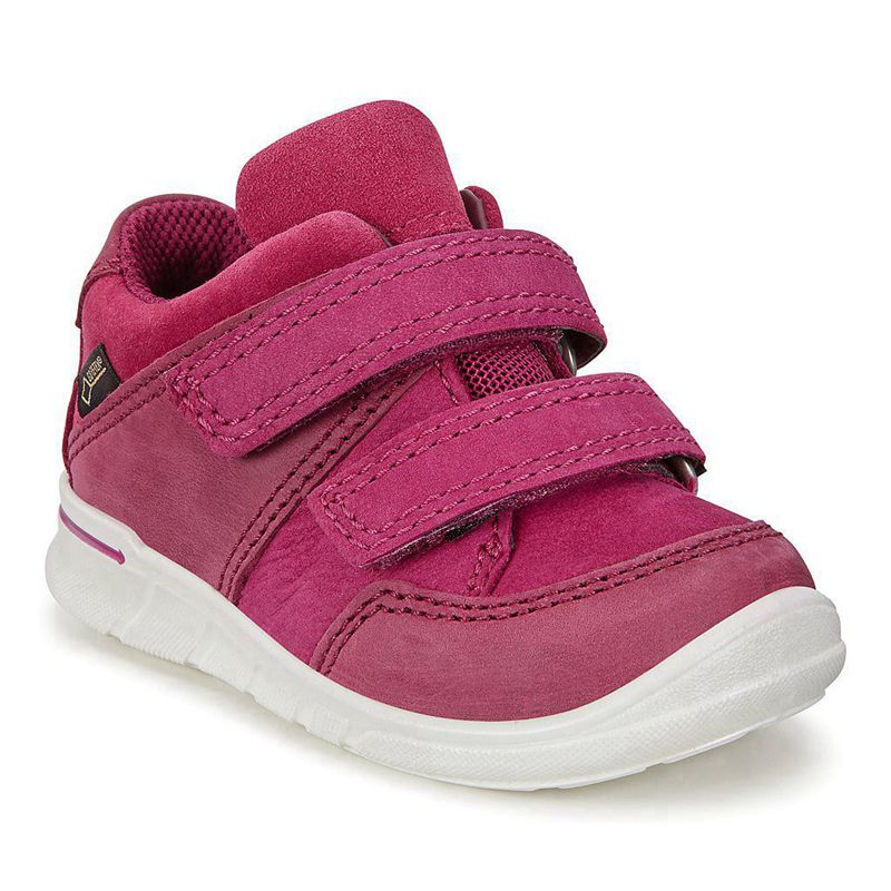 Kids Ecco First - Flats Shoe Pink - India XWOSMC521